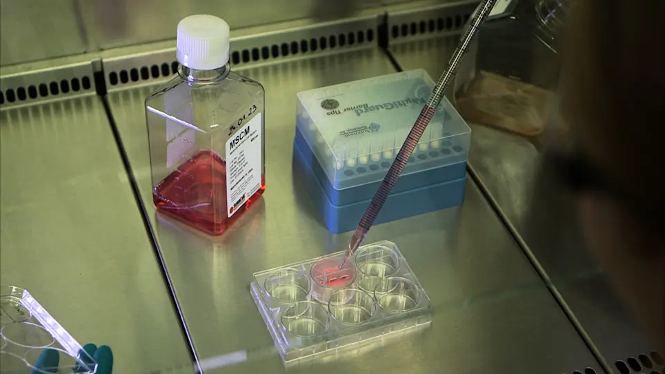 An Innovative 3D-Printed Insert Designed to Enable Straightforward 2D and 3D Cell Cultures