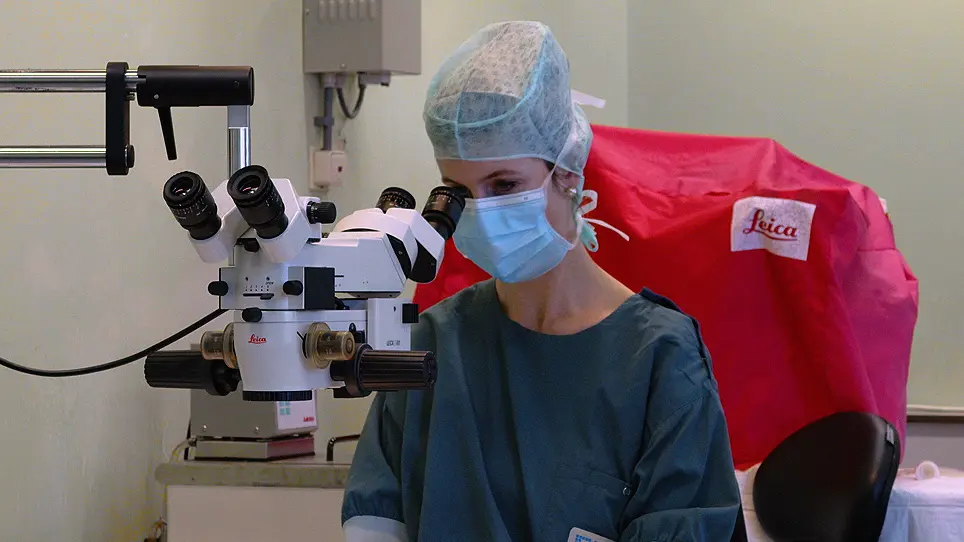 Surgery and Behavioral Testing in the Tibial Neuroma Transposition Model in Rats