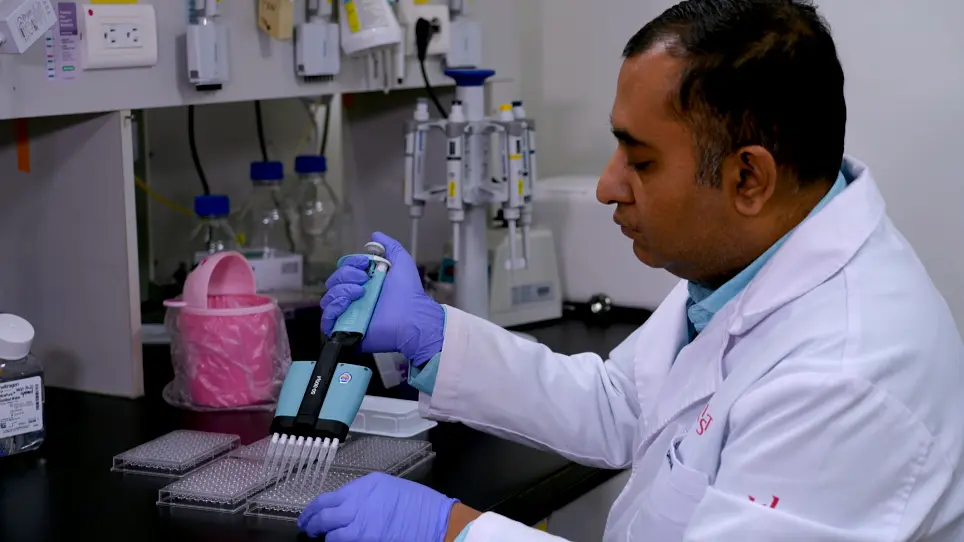 Malachite Green Assay for the Discovery of Heat-Shock Protein 90 Inhibitors