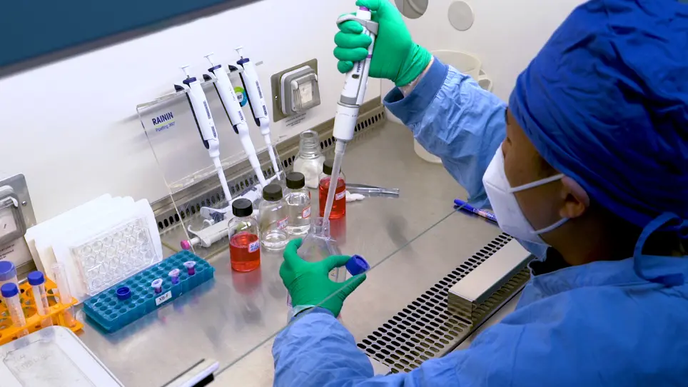 Exploring the Two Herb Combination Strategy to Treat Injured PC12 Cells