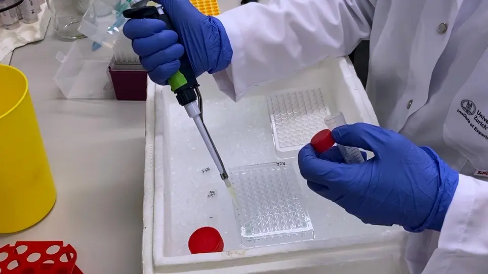 Measuring Caspase Activity Using a Fluorometric Assay or Flow Cytometry