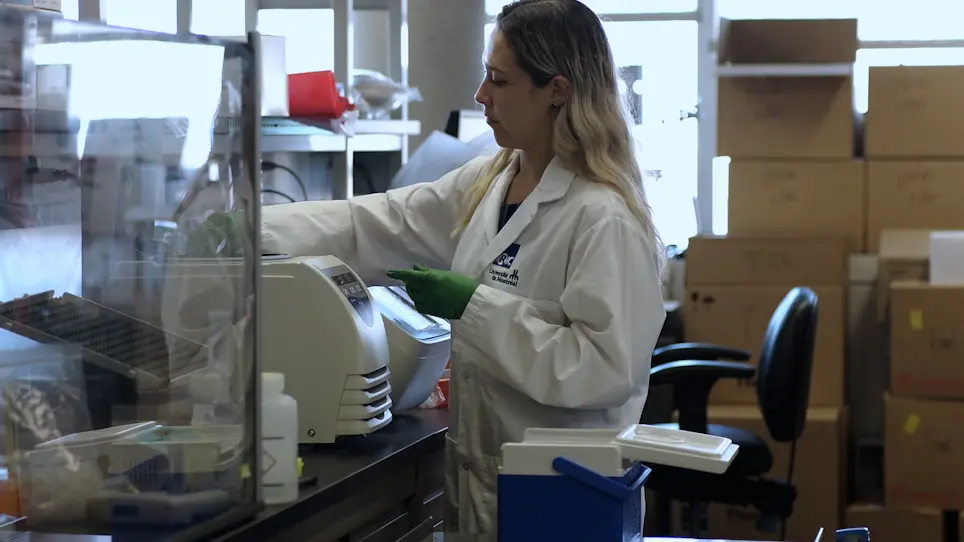 A Human Cerebral Organoid Model of Neural Cell Transplantation