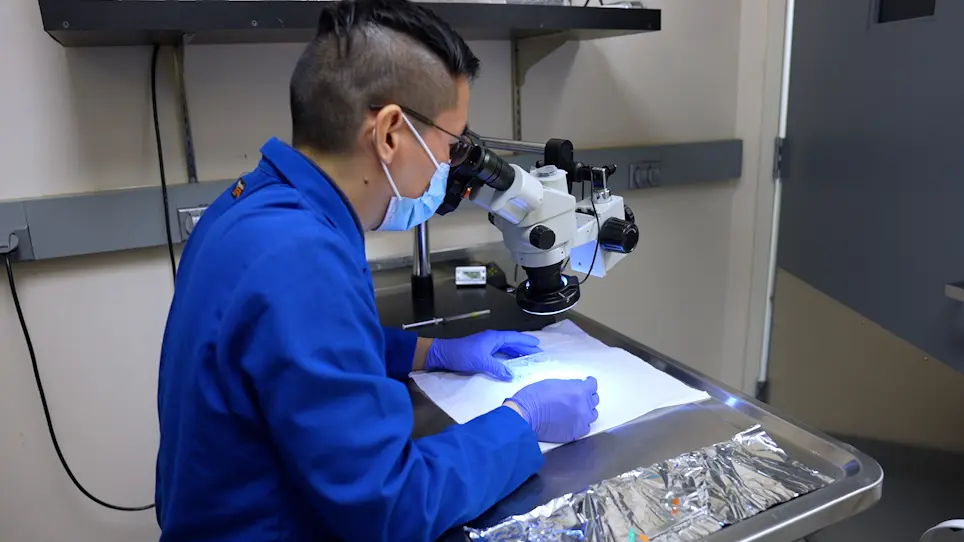 Isolation of Retinal Pigment Epithelial Cells from Guinea Pig Eyes