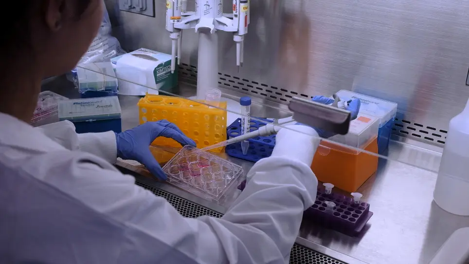 Demonstration of the DNA Fiber Assay for Investigating DNA Damage and Repair Dynamics Induced by Nanoparticles