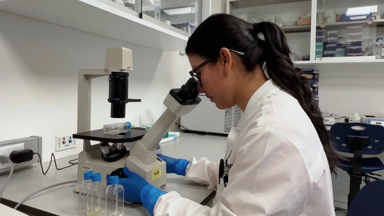 Development of <em>Leishmania</em> Species Strains with Constitutive Expression of eGFP
