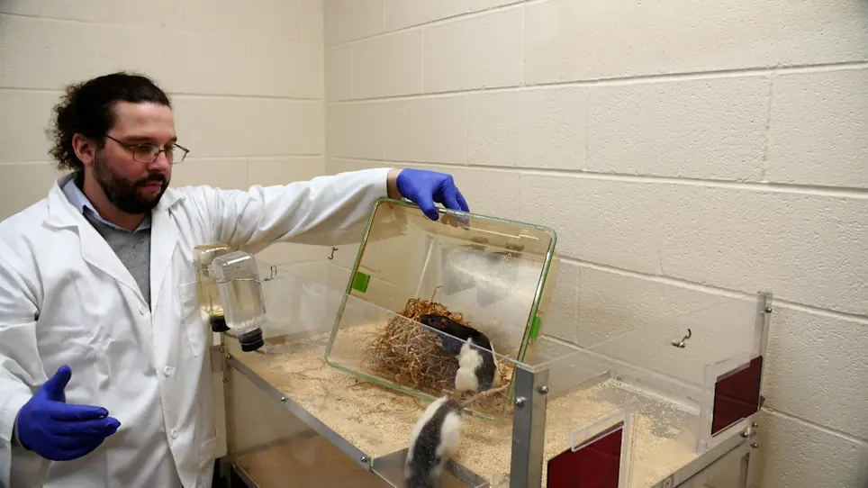 Gathering Self-Initiated Rat Behavioral Data to Characterize Post-Stroke Deficits