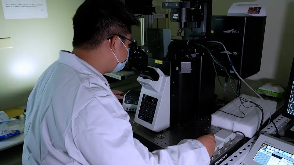 Monitoring Stub1-Mediated Pexophagy