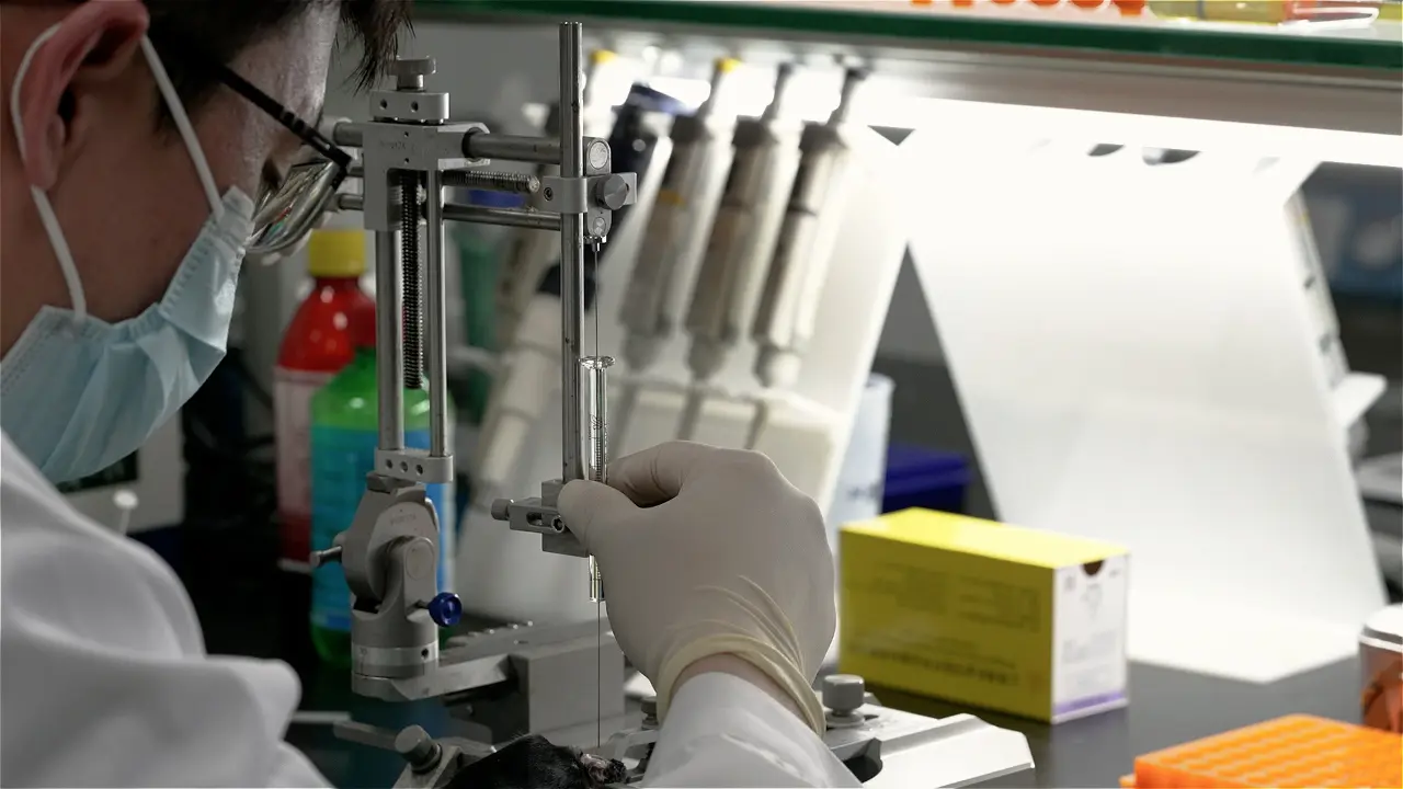 Glioblastoma Relapse Post-Resection Model for Therapeutic Hydrogel Investigations