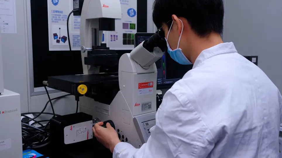 A Mouse Model of Chronic Liver Fibrosis for the Study of Biliary Atresia