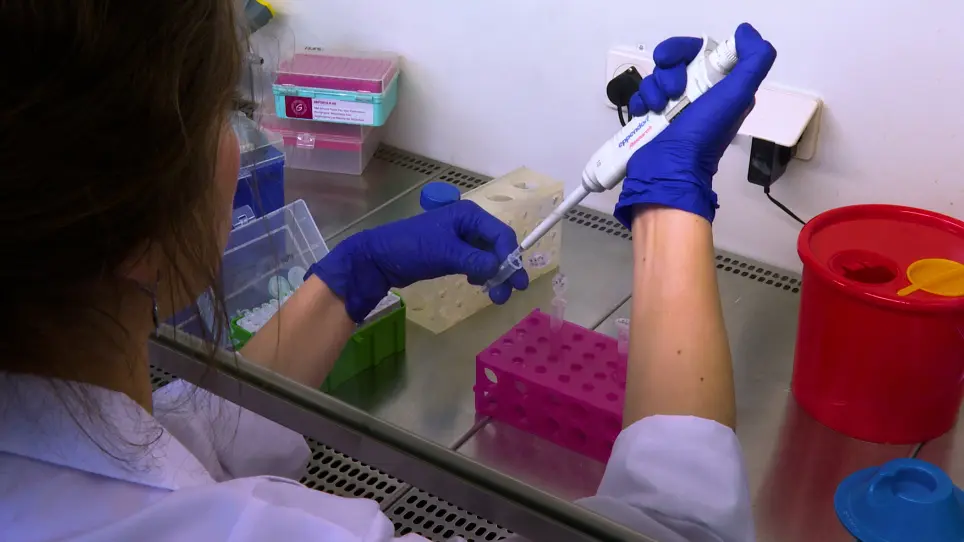 Isolation of Low Endotoxin Content Extracellular Vesicles Derived from Cancer Cell Lines