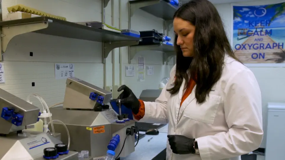 High-Resolution Fluoro-Respirometry of Equine Skeletal Muscle