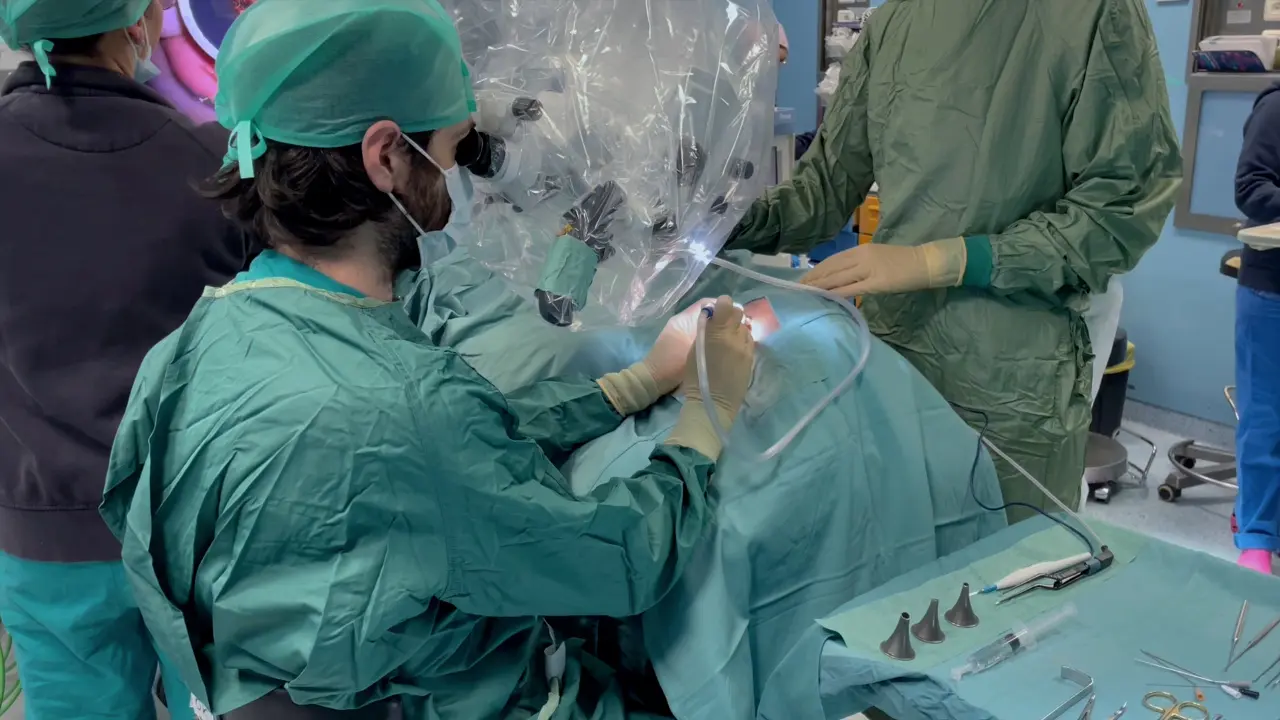 Surgical Treatment of an Endolymphatic Sac Tumor
