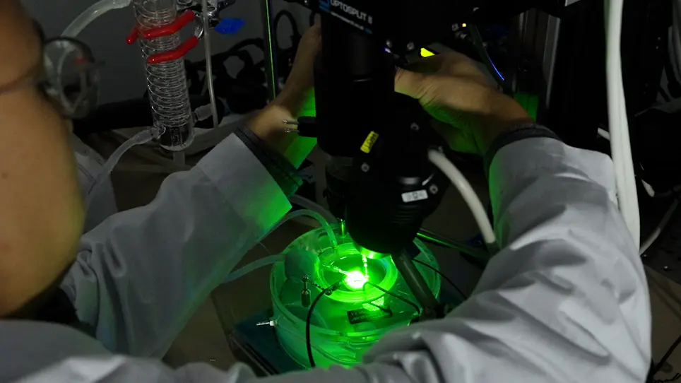 Dual-Dye Optical Mapping of Hearts from <em>RyR2</em><sup>R2474S</sup> Knock-In Mice of Catecholaminergic Polymorphic Ventricular Tachycardia