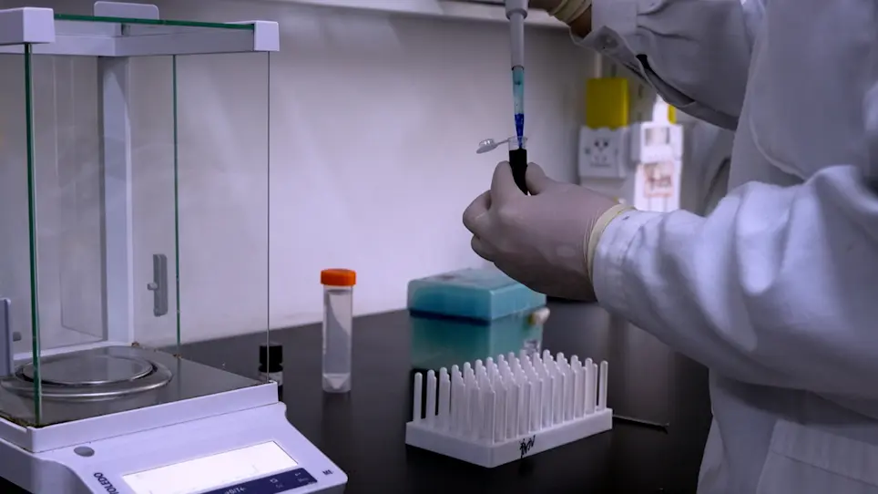 A Mouse Ear Model for Allergic Contact Dermatitis Evaluation