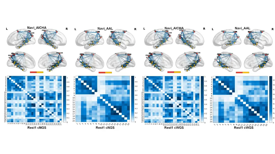 Modeling the Functional Network for Spatial Navigation in the Human Brain