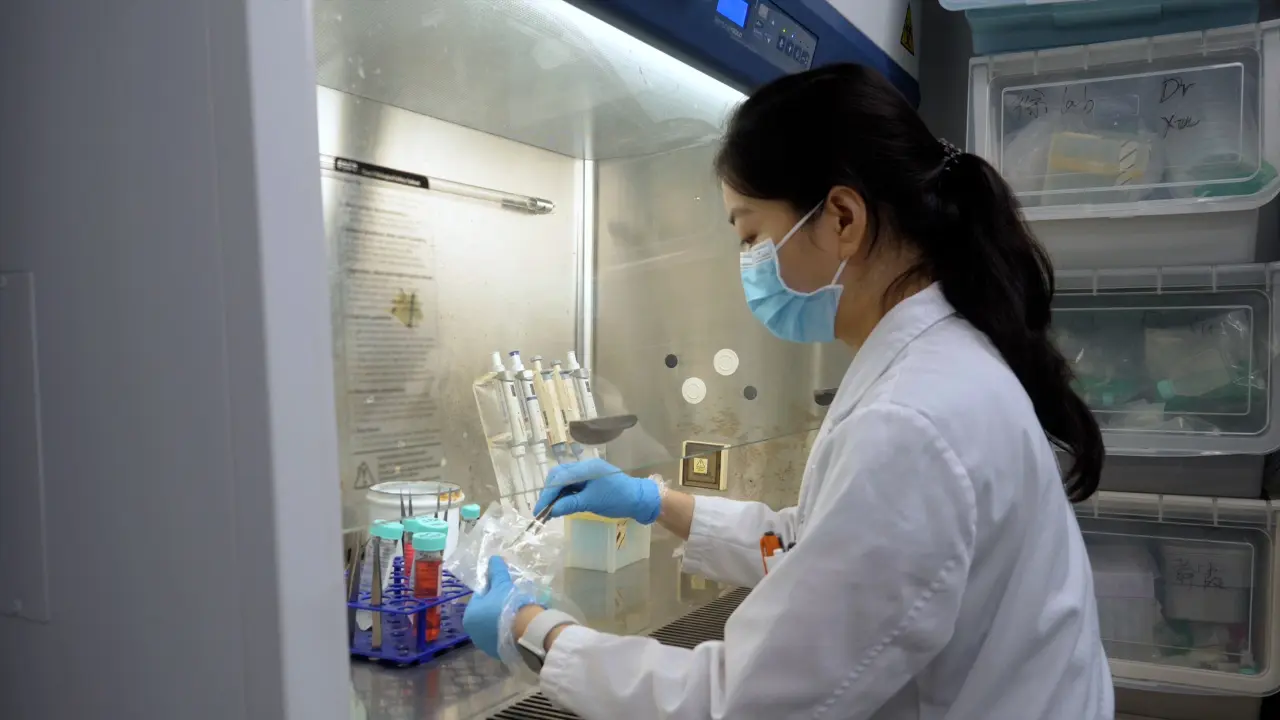 Isolation, Culture, and Characterization of Primary Dermal Fibroblasts from Human Keloid Tissue
