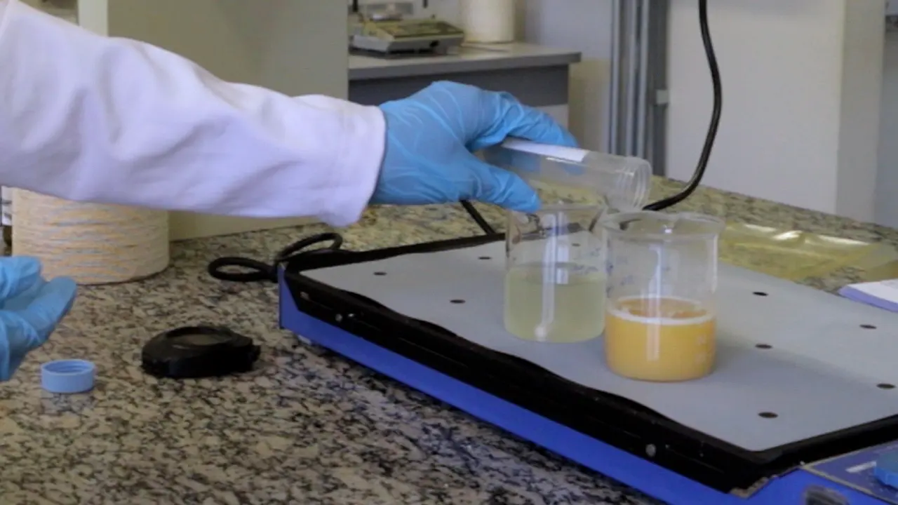 Process Development for the Spray-Drying of Probiotic Bacteria and Evaluation of the Product Quality