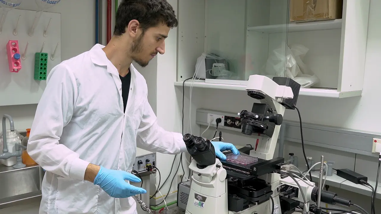 Characterizing Mammalian Zinc Transporters Using an <em>In Vitro</em> Zinc Transport Assay