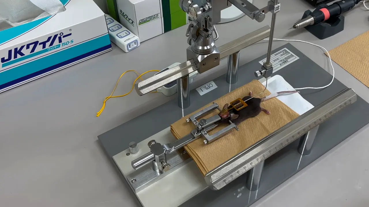 Low-Cost Electroencephalographic Recording System Combined with a Millimeter-Sized Coil to Transcranially Stimulate the Mouse Brain <em>In Vivo</em>