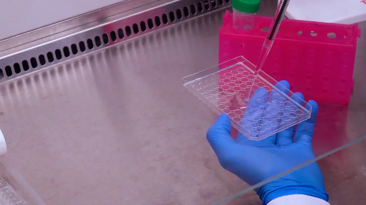An Adapted Optical Density-Based Microplate Assay for Characterizing Actinobacteriophage Infection