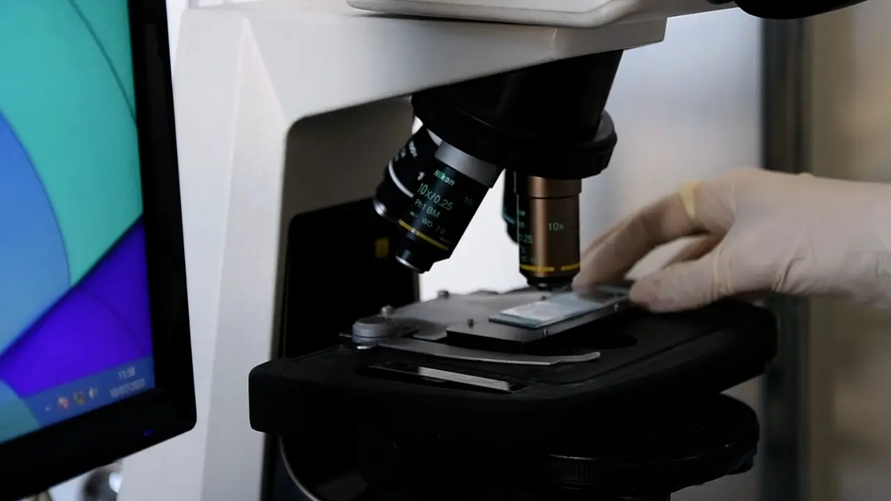 High-Resolution Respirometry to Assess Mitochondrial Function in Human Spermatozoa