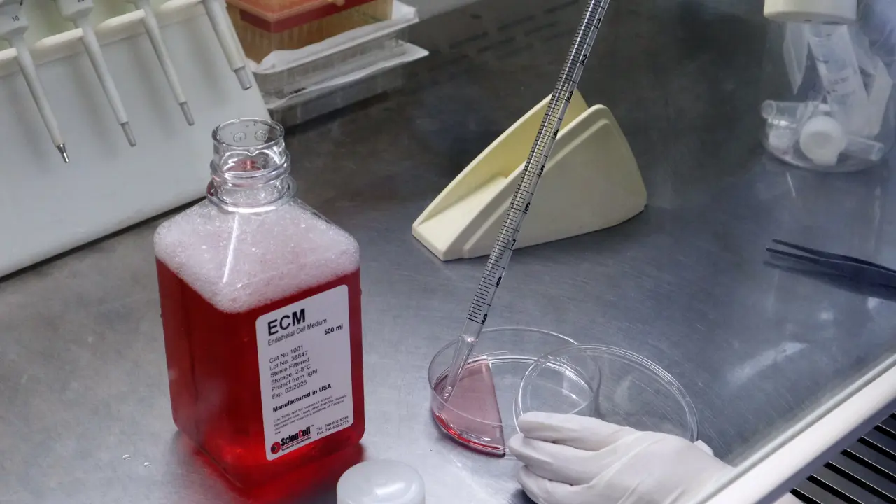 Modified <em>In Vivo</em> Matrix Gel Plug Assay for Angiogenesis Studies
