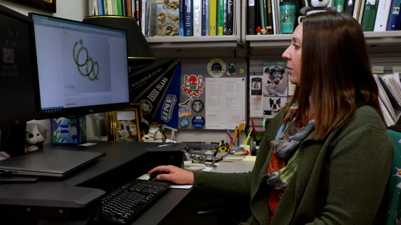 Visualizing Oceanographic Data to Depict Long-term Changes in Phytoplankton