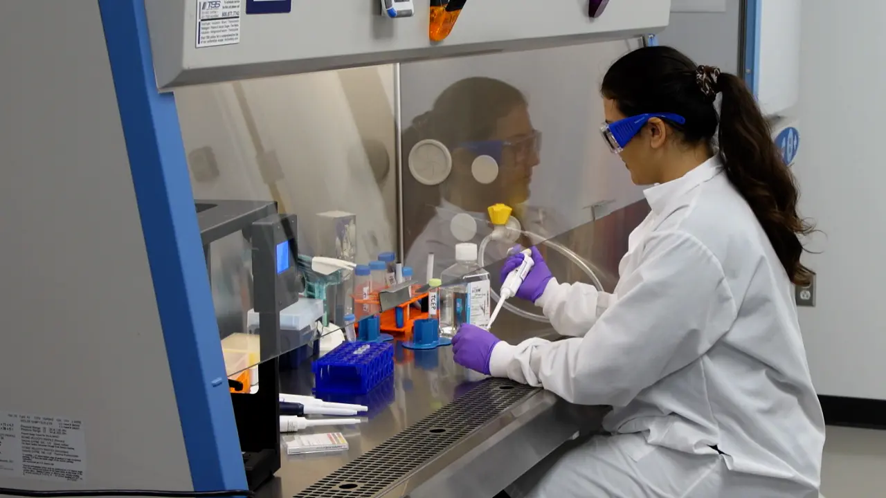 3D Bioprinting Phototunable Hydrogels to Study Fibroblast Activation