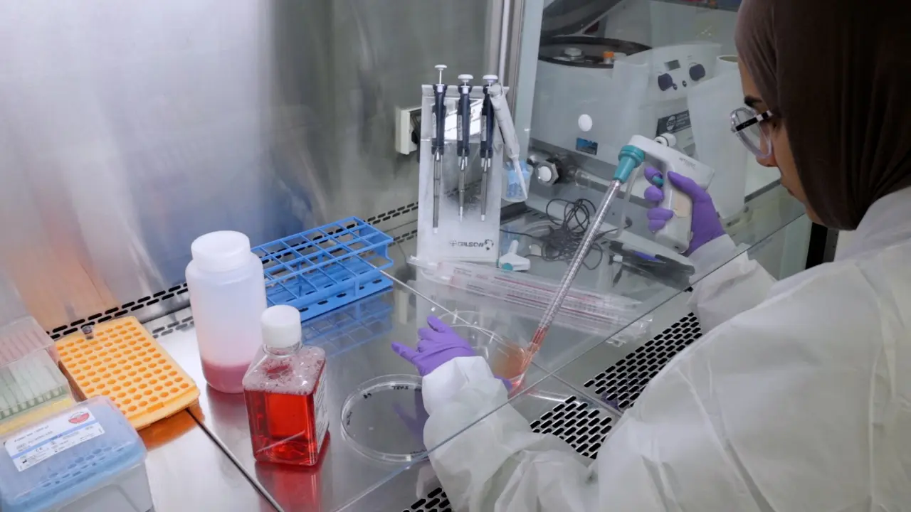 Reprogramming Pancreatic Ductal Adenocarcinoma to Pluripotency