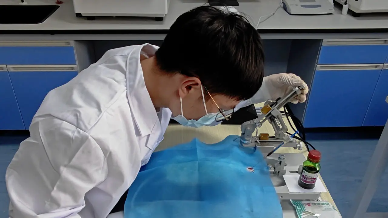 Imaging Vital and Non-vital Brain Pericytes in Brain Slices following Subarachnoid Hemorrhage