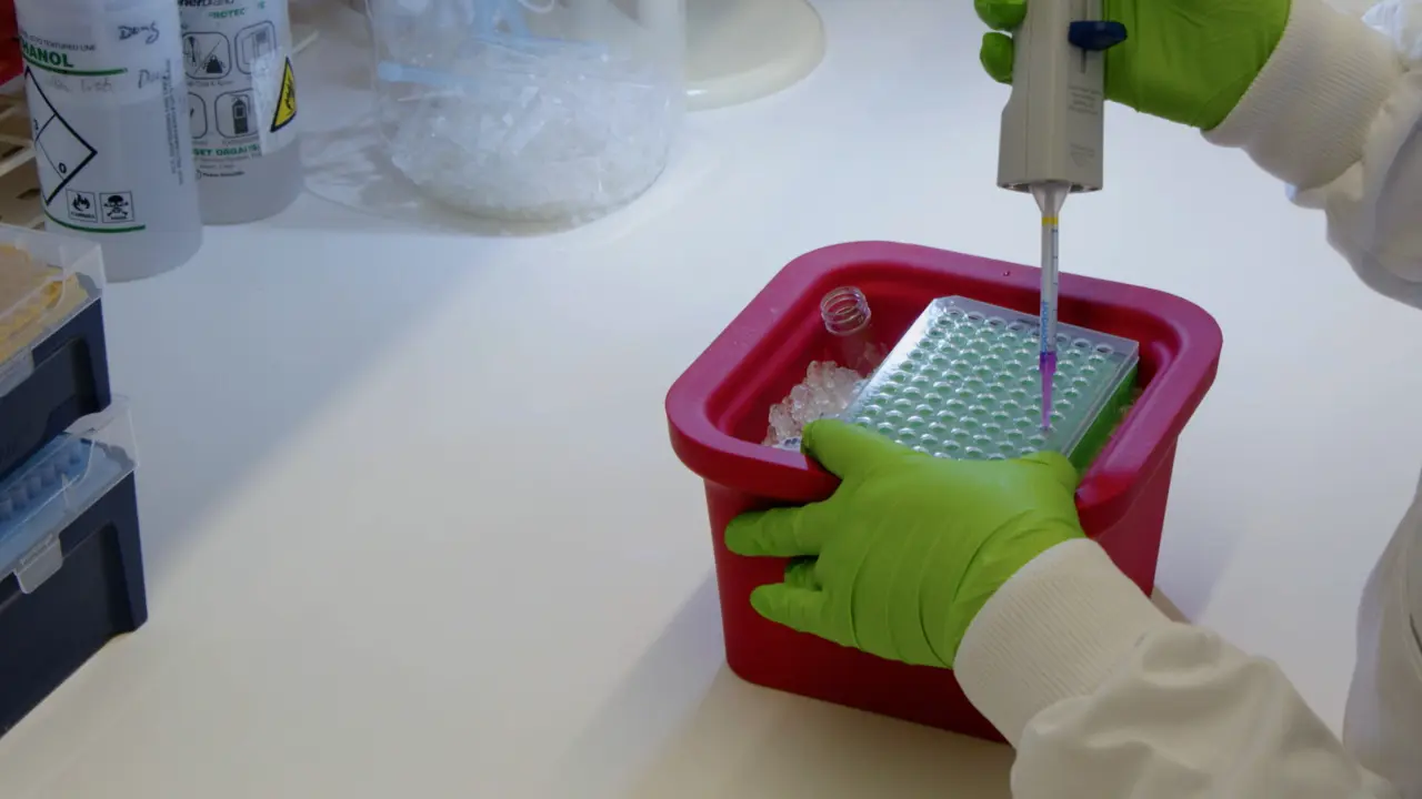 High-Throughput Expression and Purification of Human Solute Carriers for Structural and Biochemical Studies