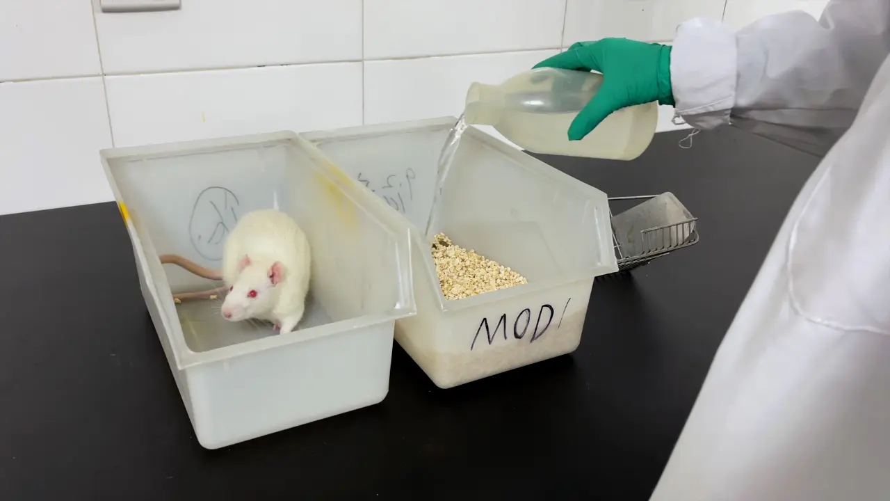 Chronic Unpredictable Mild Stress in Rats based on the Mongolian medicine