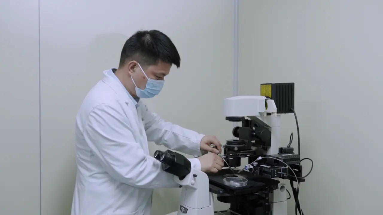 Mouse Round Spermatid Injection