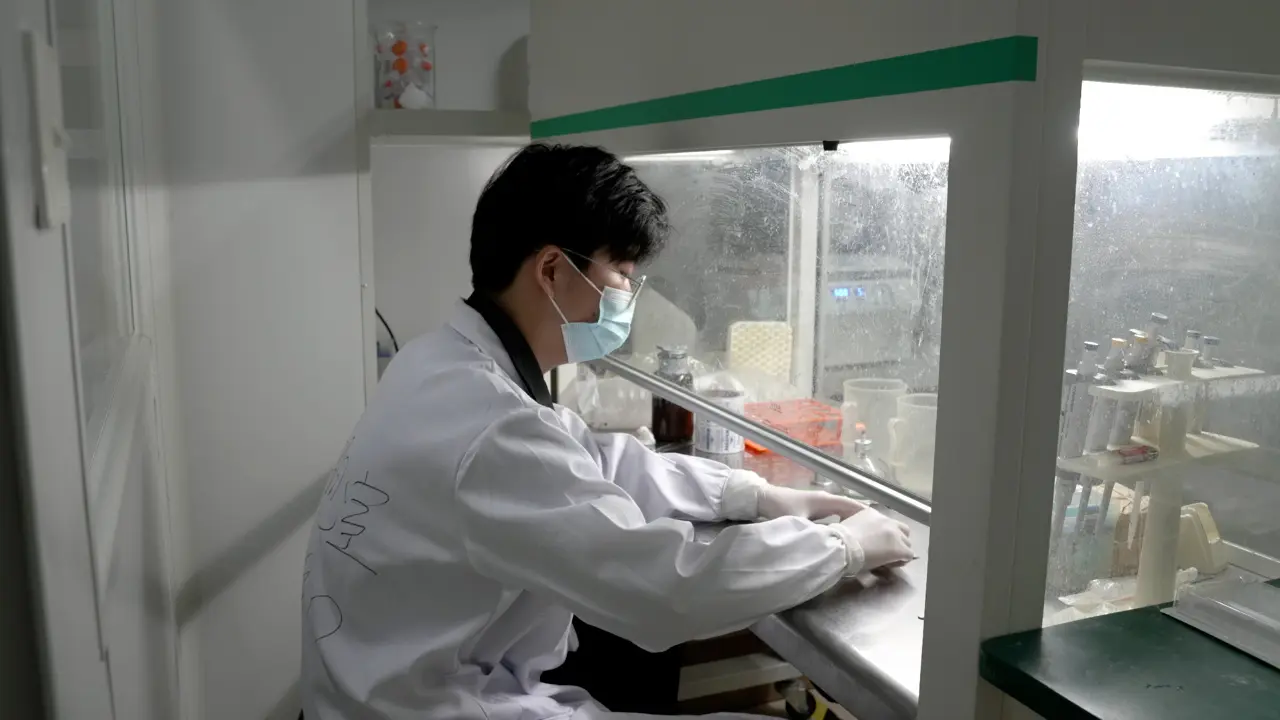 In Vivo Osteo-organoid Approach for Harvesting Therapeutic Hematopoietic Stem/Progenitor Cells