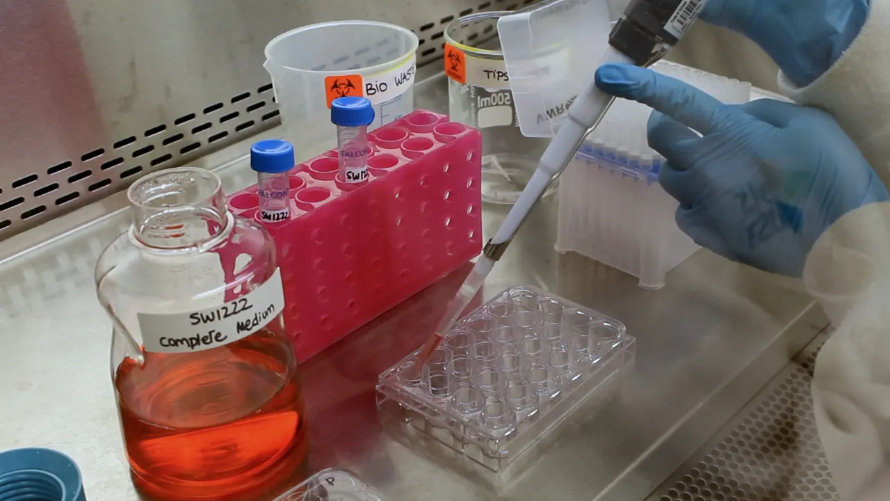 Fabrication and Characterization of Colorectal Cancer Organoids from SW1222 Cell Line in Ultrashort Self&#45;Assembling Peptide Matrix