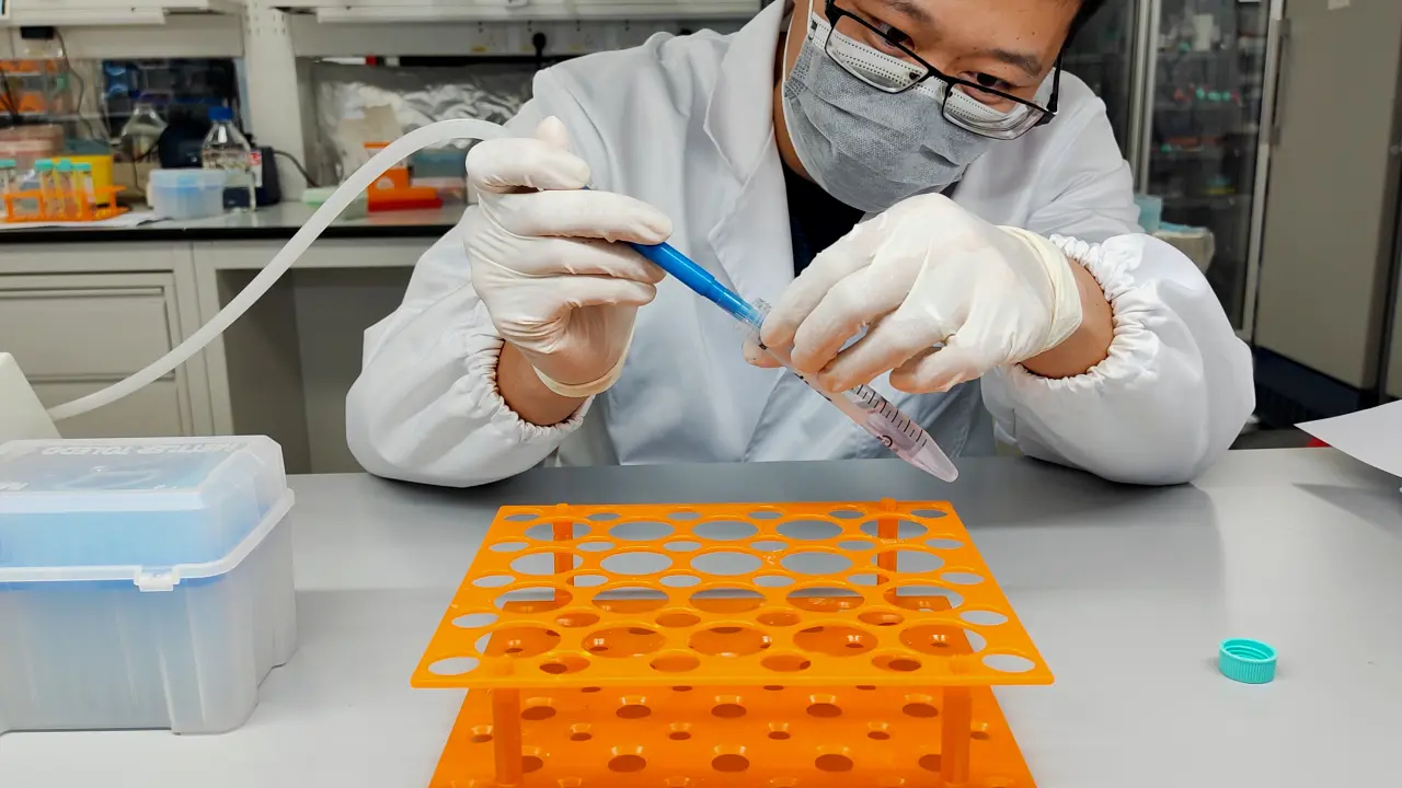 Using Cleavage Under Targets and Tagmentation (CUT&#38;Tag) Assay in Mouse Myoblast Research