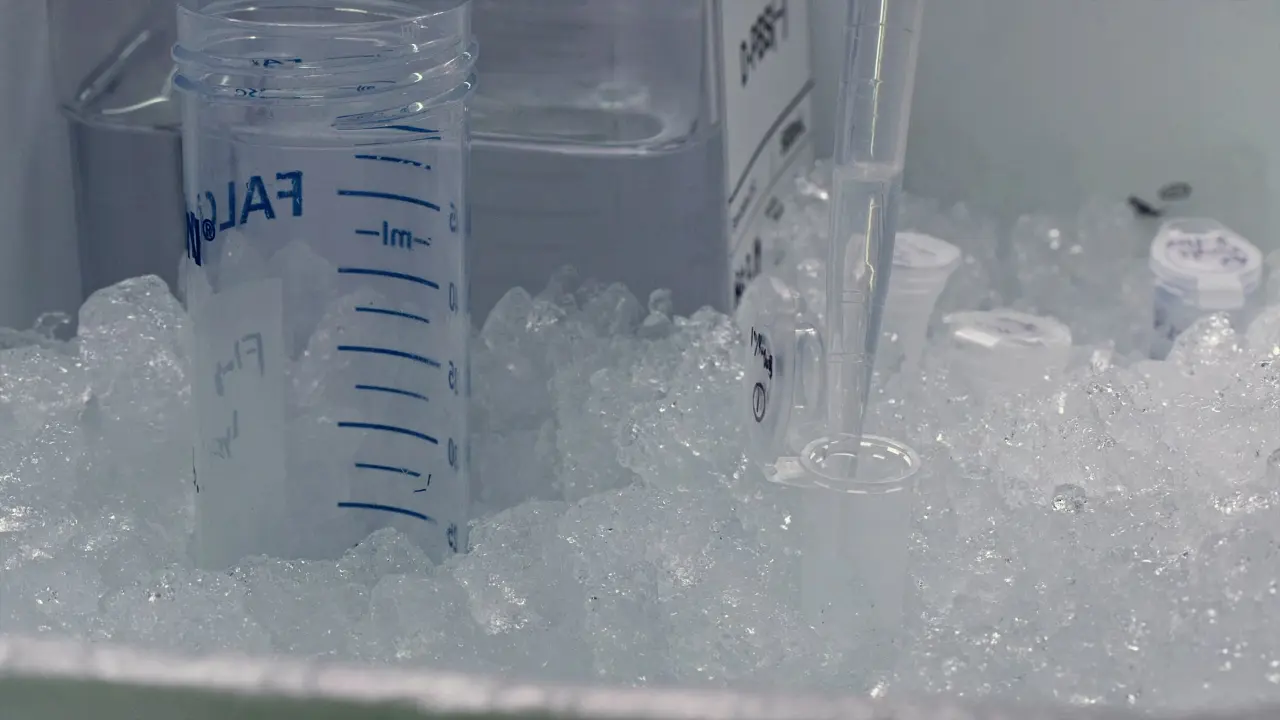 Immunoprecipitation with an Anti-Epitope Tag Affinity Gel to Study Protein-Protein Interactions