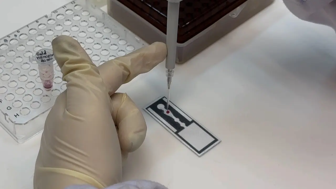 Portable Paper-Based Immunoassay Combined with Smartphone Application for Colorimetric and Quantitative Detection of Dengue NS1 Antigen