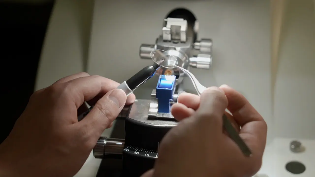 Epon Post Embedding Correlative Light and Electron Microscopy