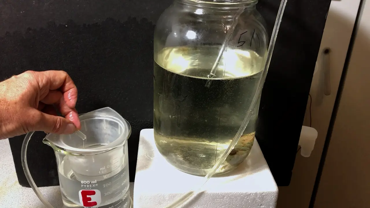 Laboratory and Field Culture of Larvae of The Slipper Limpet, <i>Crepidula fornicata</i>