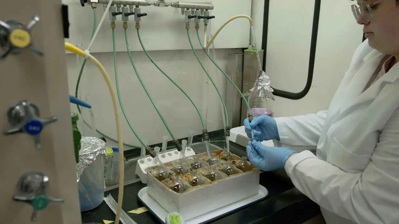 A Set of <em>In Situ</em> Informed Simulated Medium Formats for Culturing Environmentally Acquired Anaerobic Microorganisms