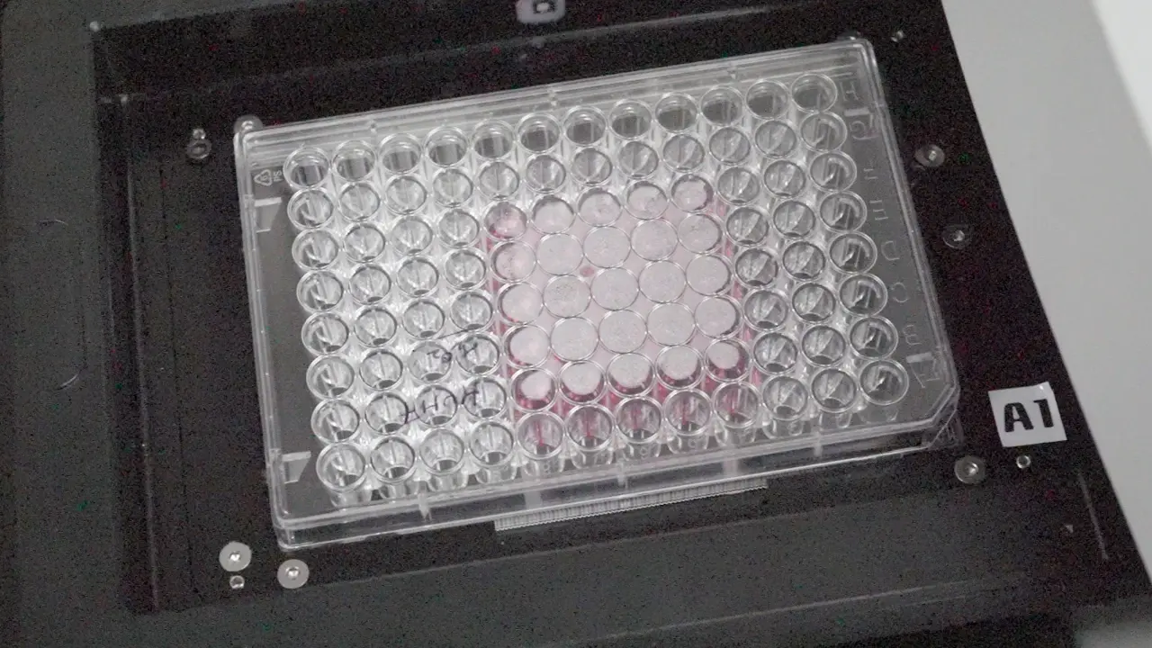 High Throughput Screening Assessment of Reactive Oxygen Species (ROS) Generation using Dihydroethidium (DHE) Fluorescence Dye