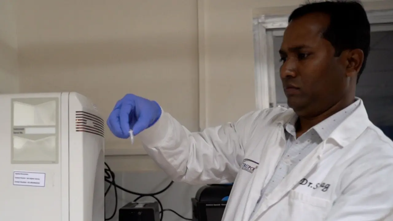 Real-Time Polymerase Chain Reaction-Based Detection and Quantification of Hepatitis B Virus DNA