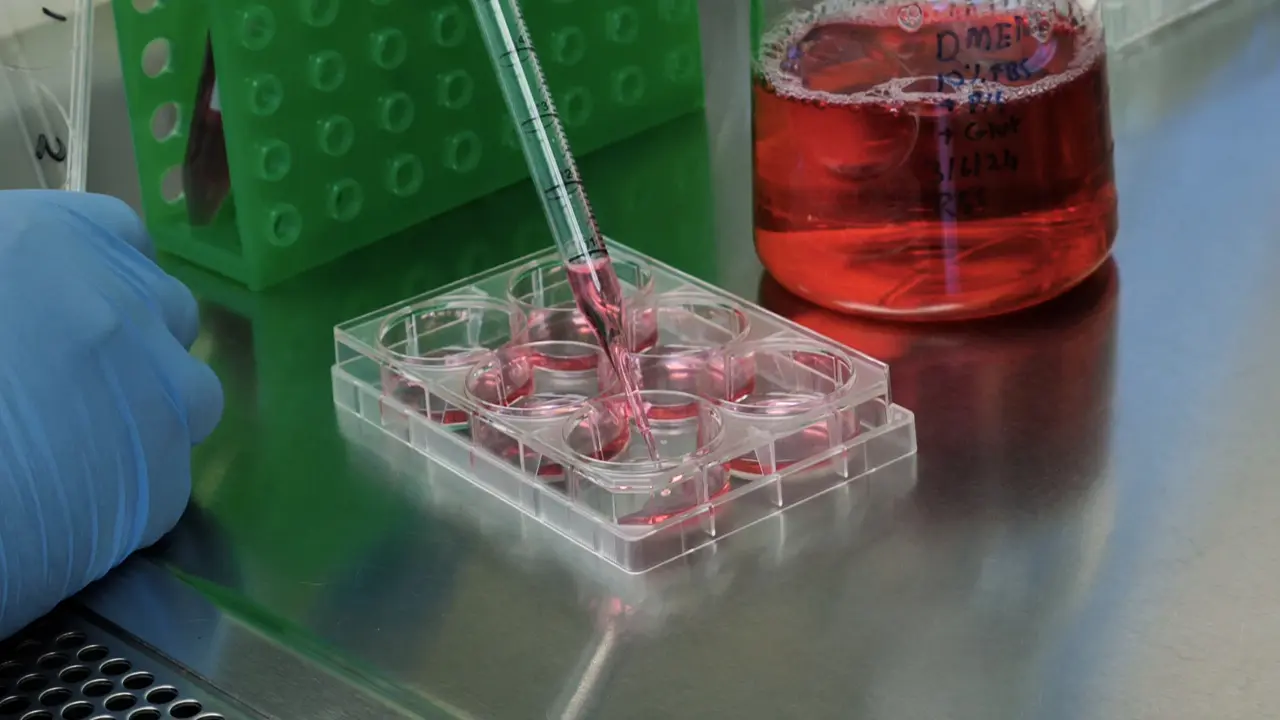 Bioluminescence Resonance Energy Transfer (BRET)-Based Assay for Measuring Interactions of CRAF with 14-3-3 Proteins in Live Cells