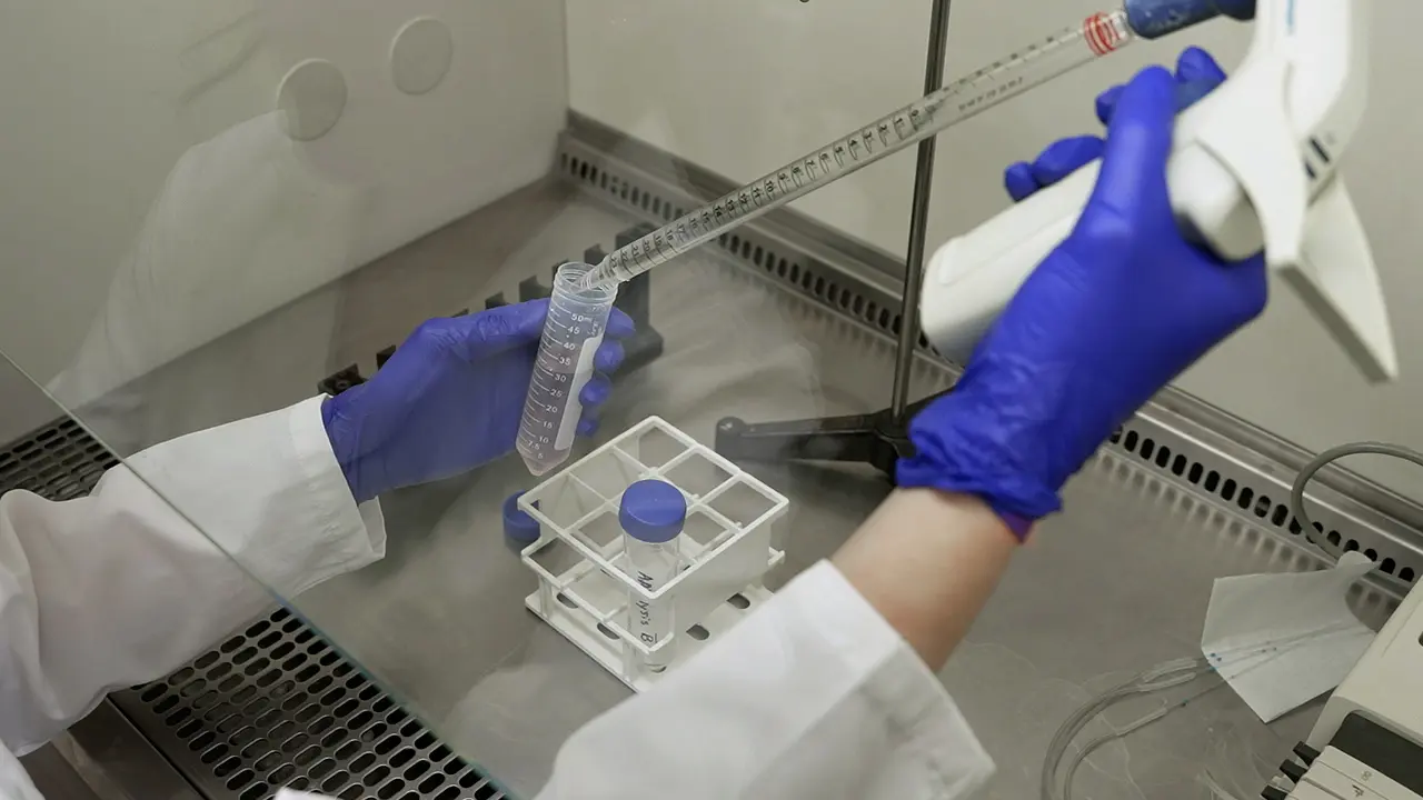 Suspension Culture Production and Purification of Adeno-Associated Virus by Iodixanol Density Gradient Centrifugation for In Vivo Applications