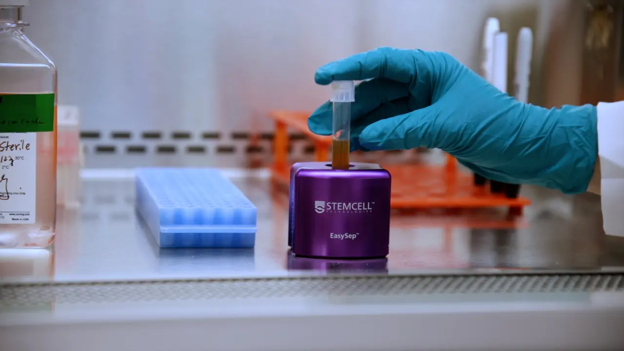 Nuclear Isolation from Cryopreserved In Vitro Derived Blood Cells