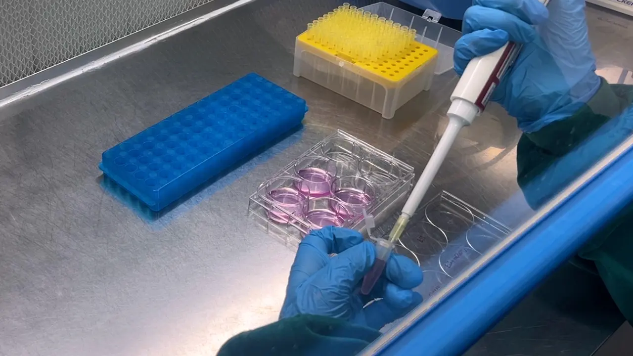 Analysis of Nonhomologous End Joining and Homologous Recombination Efficiency in HEK-293T Cells Using GFP-Based Reporter Systems