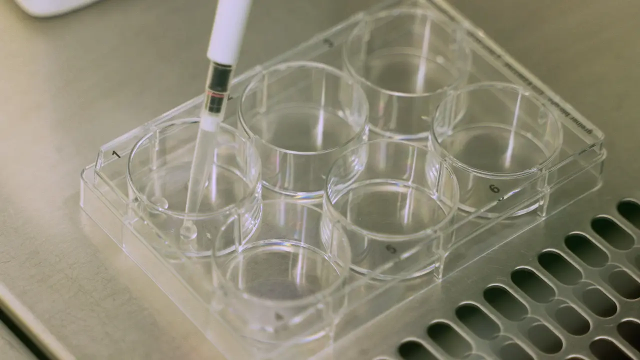 Three-Dimensional Cell Culture Models to Investigate the Epithelial Barrier in Eosinophilic Esophagitis