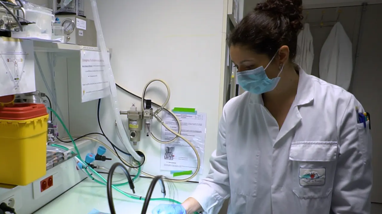 Developing a Clinically Relevant Hemorrhagic Shock Model in Rats