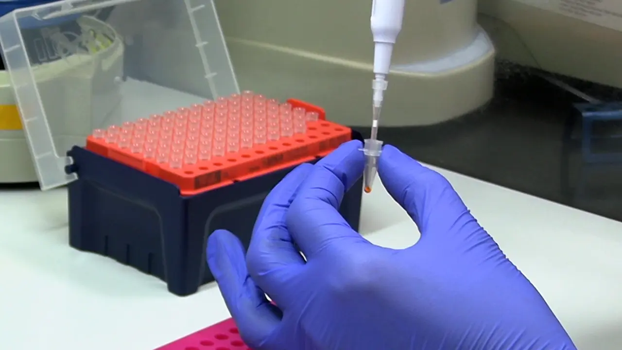 Monochrome Multiplex Quantitative PCR Telomere Length Measurement